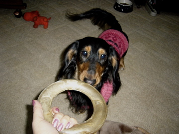 f0045433_0234176.jpg