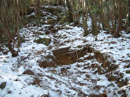 c0077338_21521049.jpg