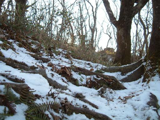 c0077338_21522271.jpg