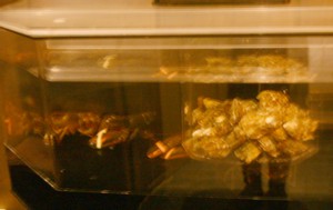 f0072241_8535253.jpg