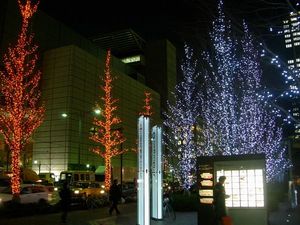 c0074444_7584079.jpg