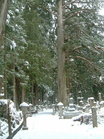 c0011649_2018158.jpg