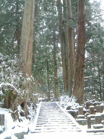 c0011649_2020529.jpg
