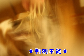 d0013149_22233449.jpg