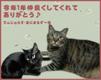 a0055263_11402111.gif