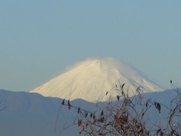a0009666_20314857.jpg