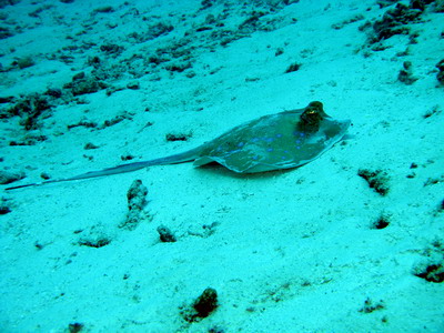 a0002177_1261924.jpg