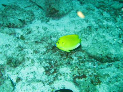 a0002177_21243945.jpg