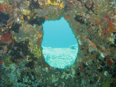 a0002177_212559.jpg