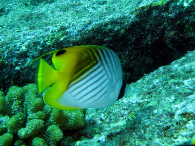 a0002177_21285336.jpg