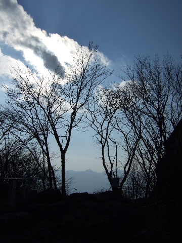 a0094280_10393299.jpg