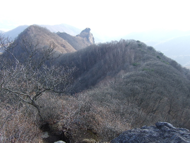 a0094280_10492849.jpg