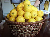 f0004182_1865846.jpg