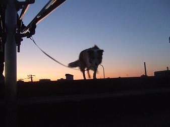 e0060288_17185151.jpg