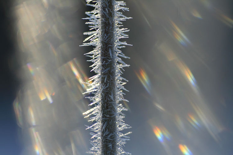 c0038290_801014.jpg