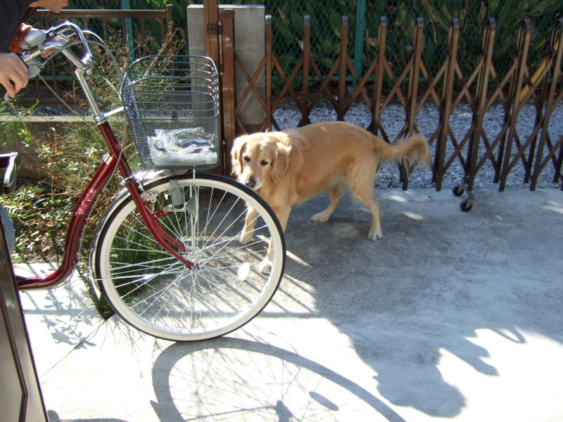 c0104492_016581.jpg