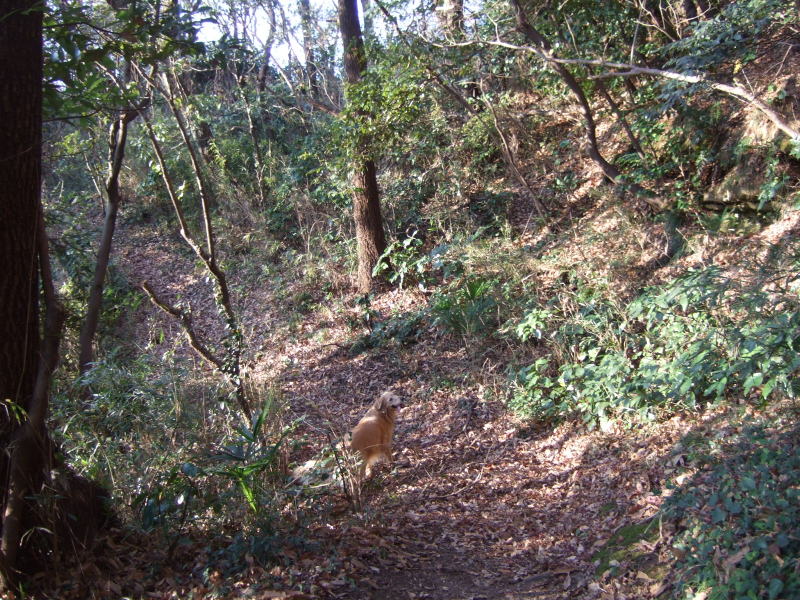 c0104492_0331618.jpg