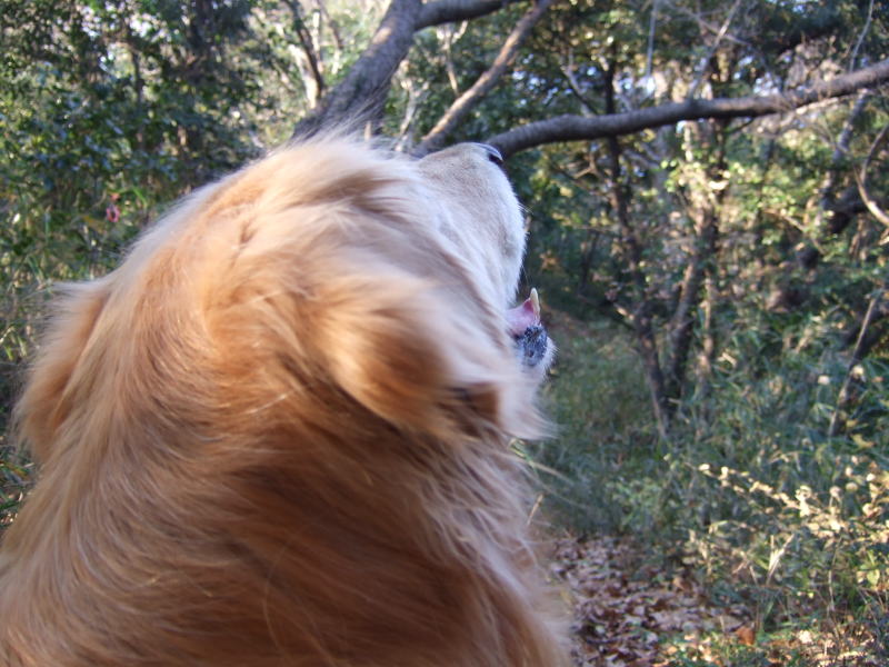 c0104492_0335836.jpg