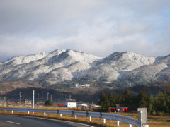 a0061594_1124699.jpg