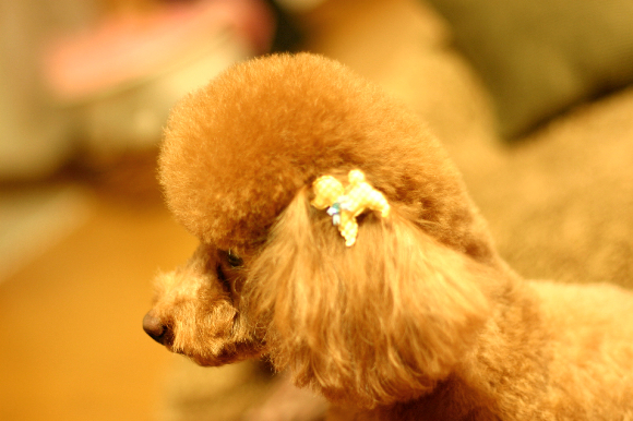 f0001895_20265536.jpg