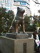 e0045108_17565154.jpg