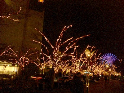 e0099212_828561.jpg