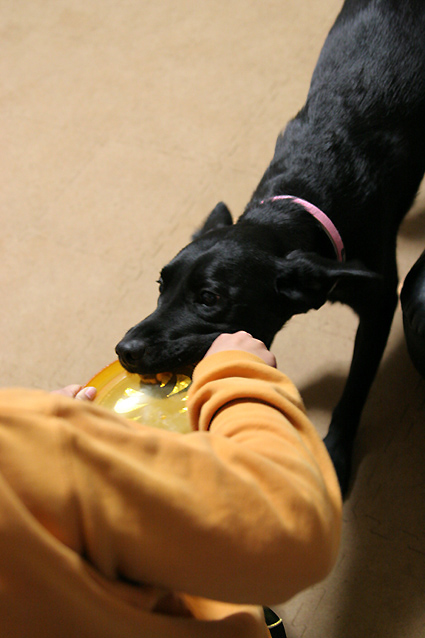 f0108112_21354446.jpg