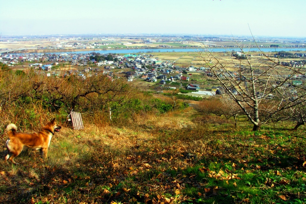 f0064415_22323441.jpg
