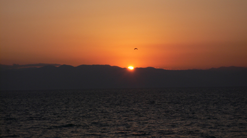 f0060424_9574971.jpg