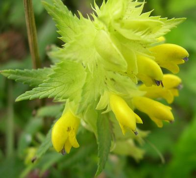 c0104227_26267.jpg