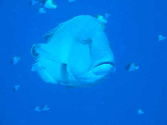 e0002927_17381443.jpg