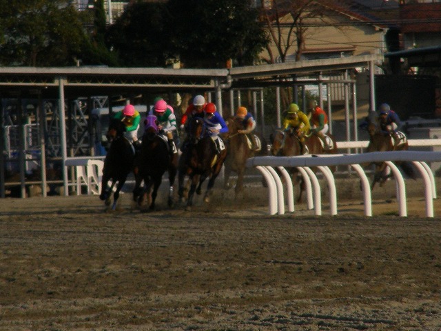 e0078069_19333234.jpg