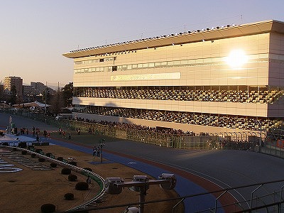 e0078069_1938173.jpg