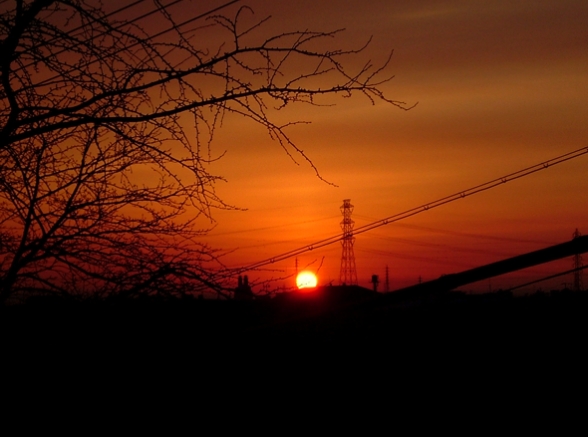 a0005279_2125747.jpg