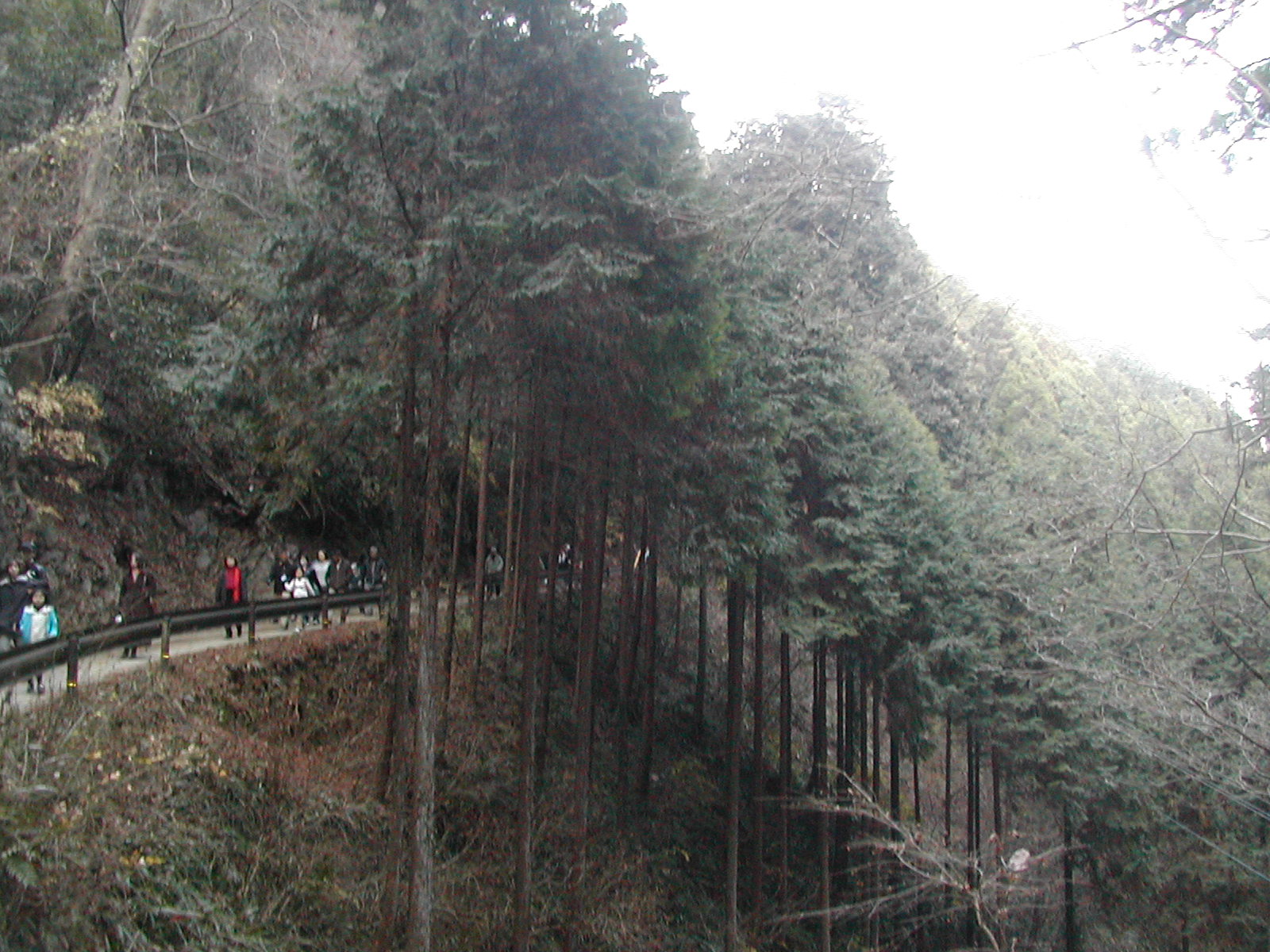 e0027681_23311130.jpg