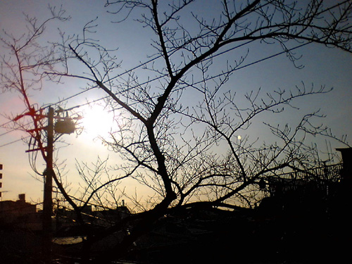 b0059687_20481020.jpg