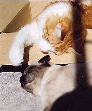 c0016987_15553977.jpg