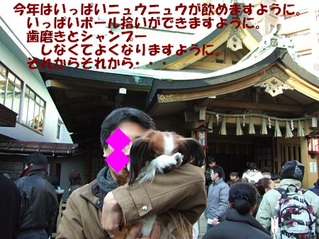 c0044199_1550248.jpg