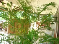 e0007801_1241374.jpg