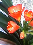 b0083902_20433266.jpg