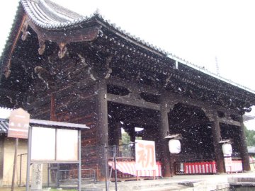 f0120102_2343752.jpg