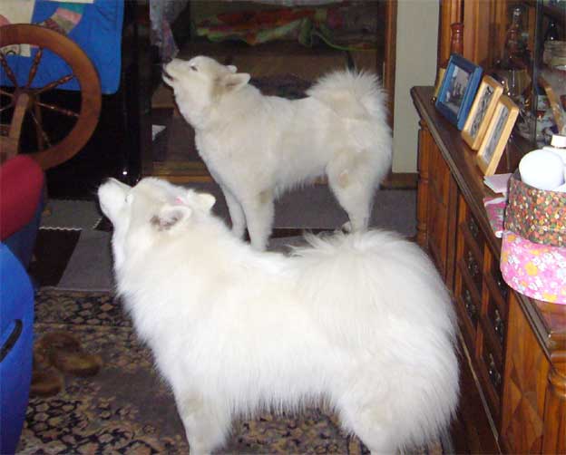 e0018604_10593742.jpg