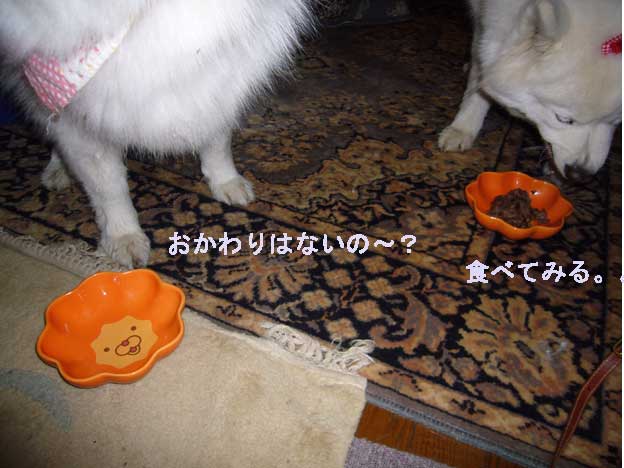 e0018604_1711130.jpg