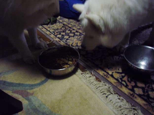 e0018604_8415486.jpg