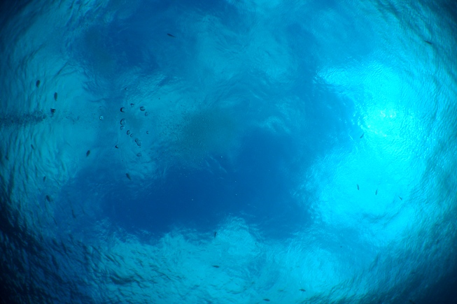 a0082706_18231740.jpg