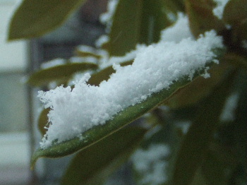 f0041606_20113120.jpg