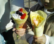 f0041113_3352539.jpg