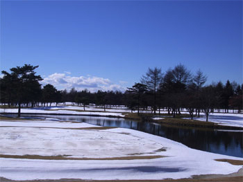 b0034422_188760.jpg
