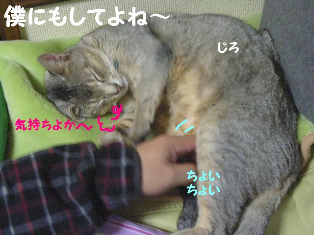 d0081025_17241583.jpg