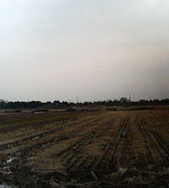 f0087228_15322882.jpg